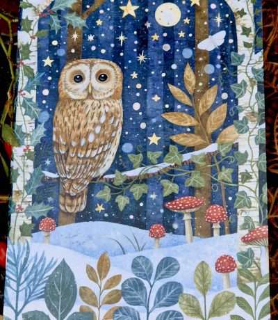 owl notebook