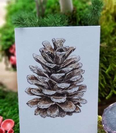 pack of mini pinecone cards