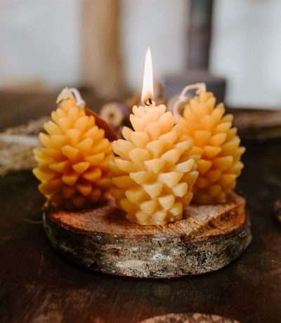 New pinecone candles main