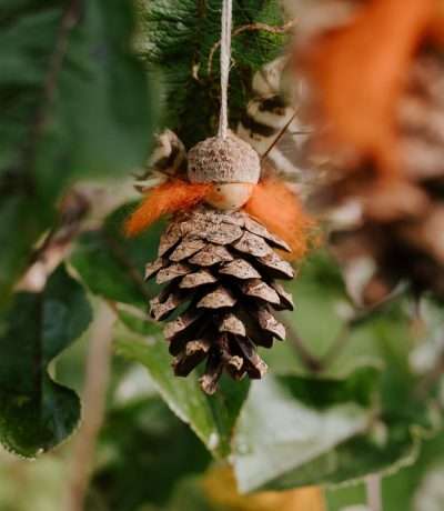 pinecone-fairy-orange-hair