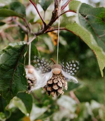 pinecone-fairy-white-hair