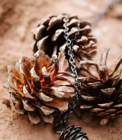bronze pinecone necklace