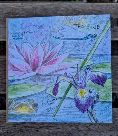 pond card