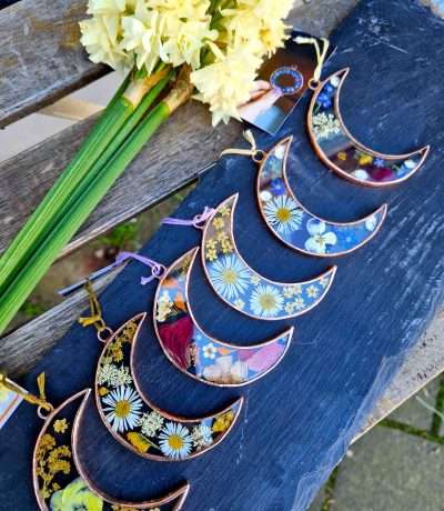 pressed flower moon frames