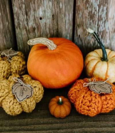 pumpkin candles new