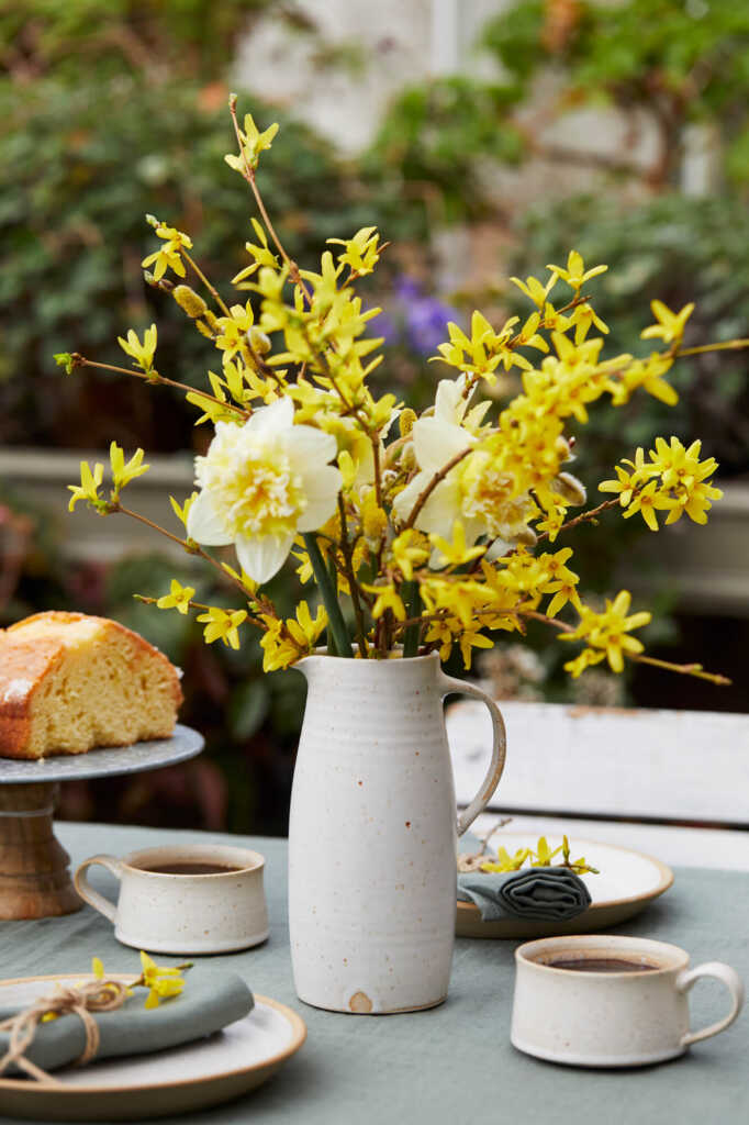 raphaela white jug