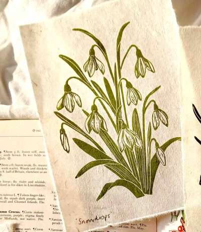 sam rock snowdrop print