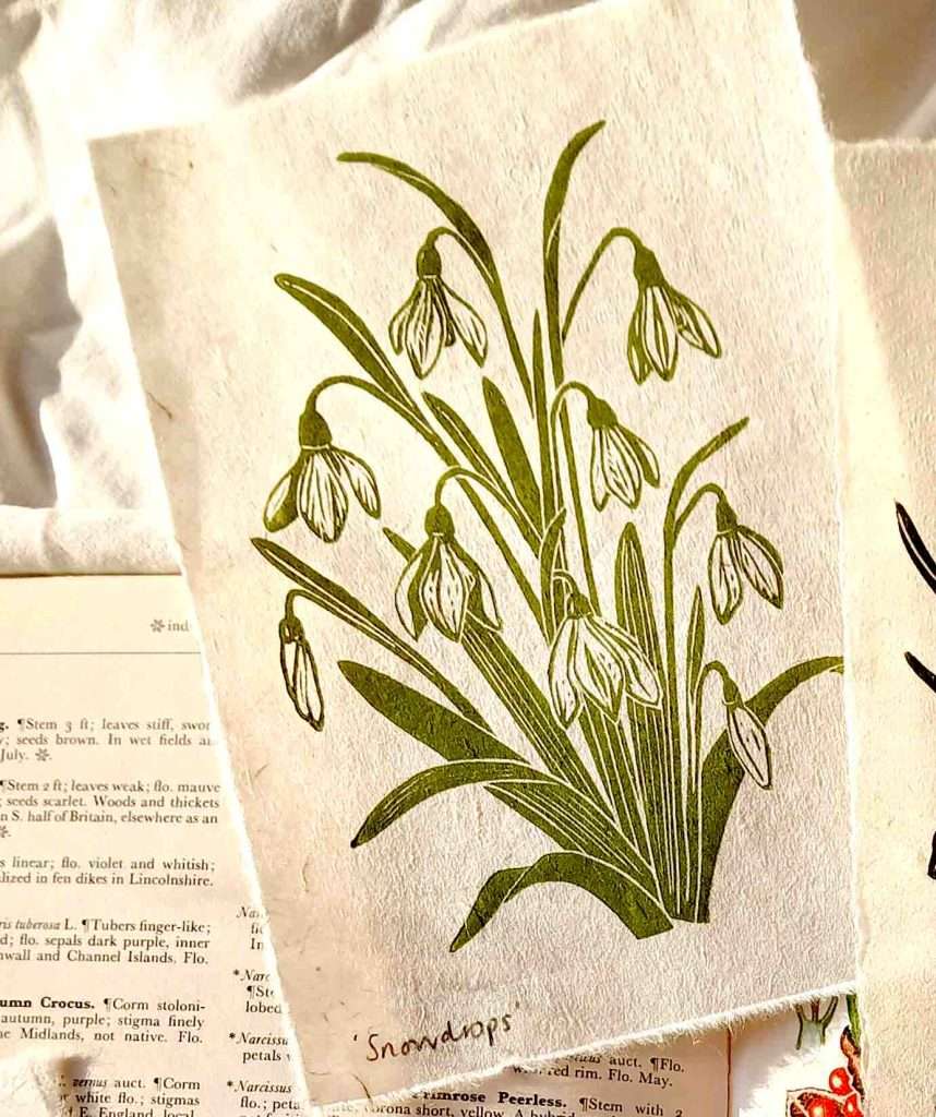 sam rock snowdrop print