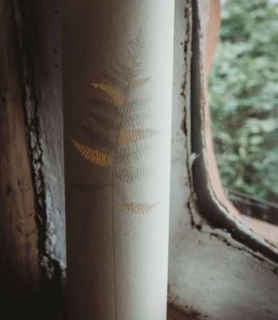 tall fern lamp main shot