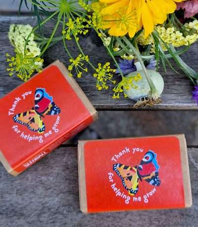 thank you seed boxes