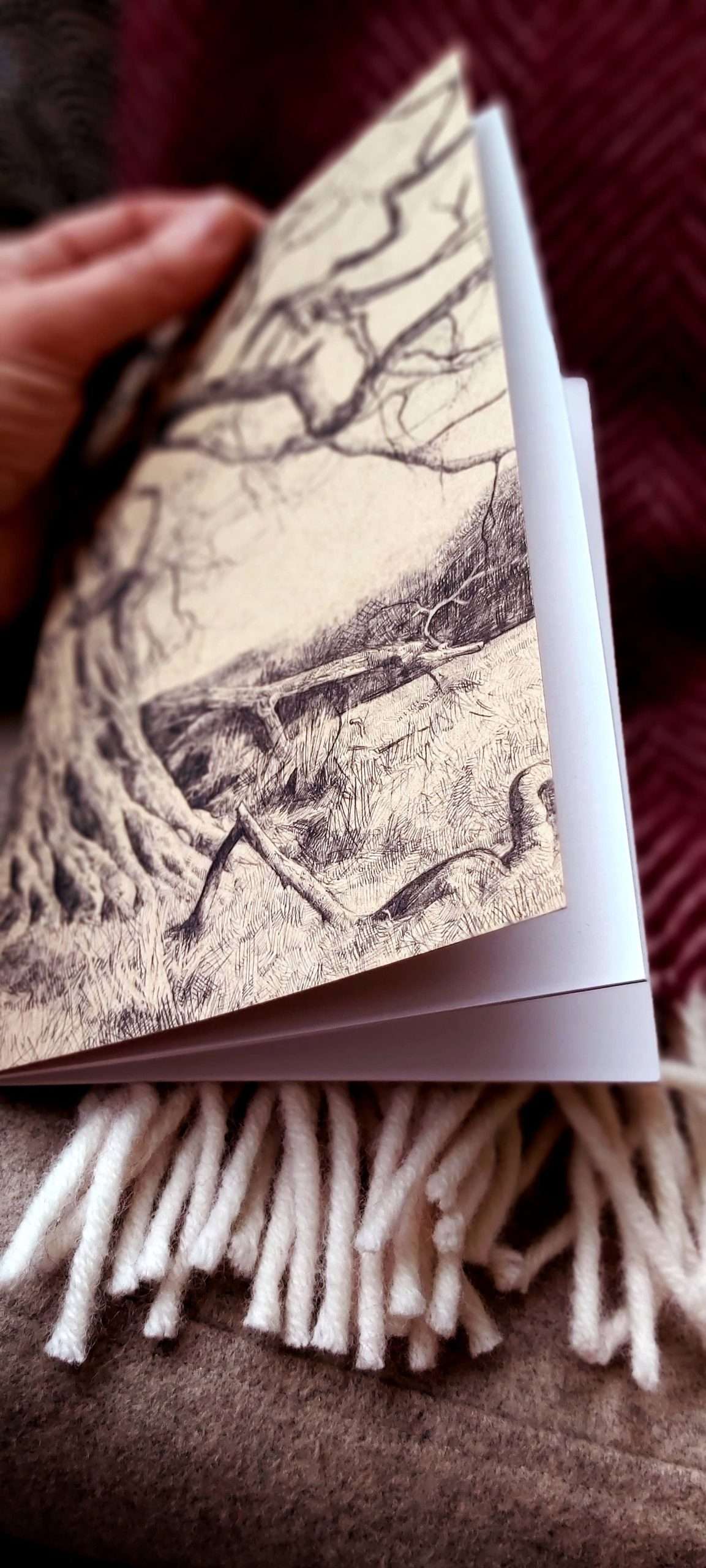under this old tree inside notebook