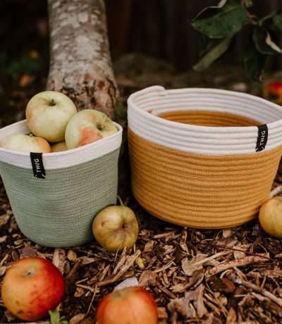 Twig moss and dandelion pots