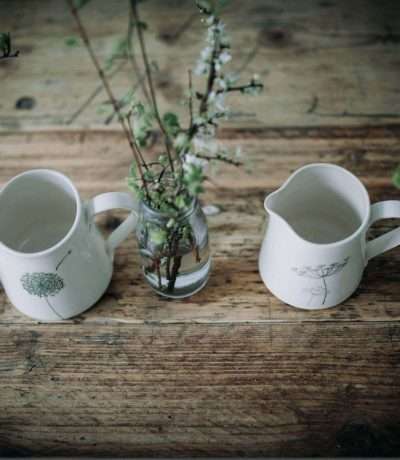 Wendy Calder white green jugs from top