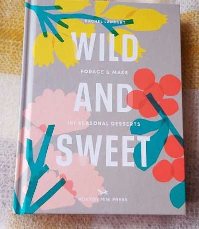 wild and sweet book cover