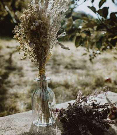 wild posies style shot