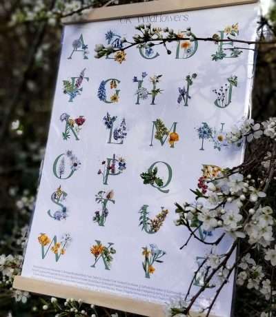 wildflower alphabet print