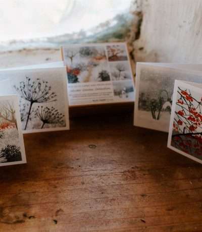 winter garden cards new