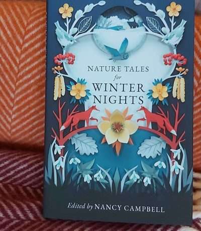 winter tales book