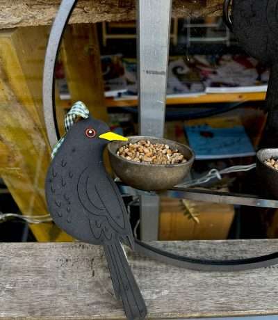 wooden blackbird