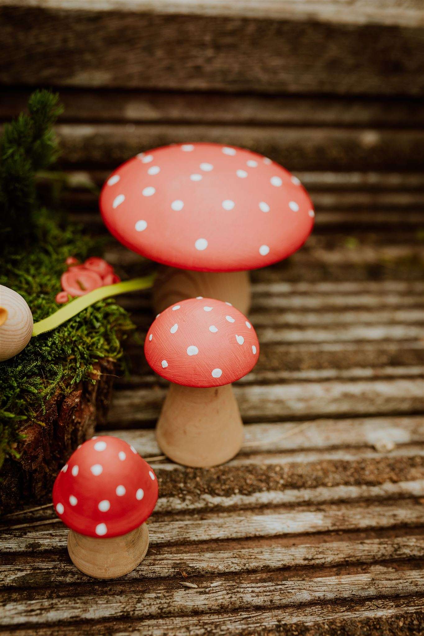 wooden mushrooms group shot